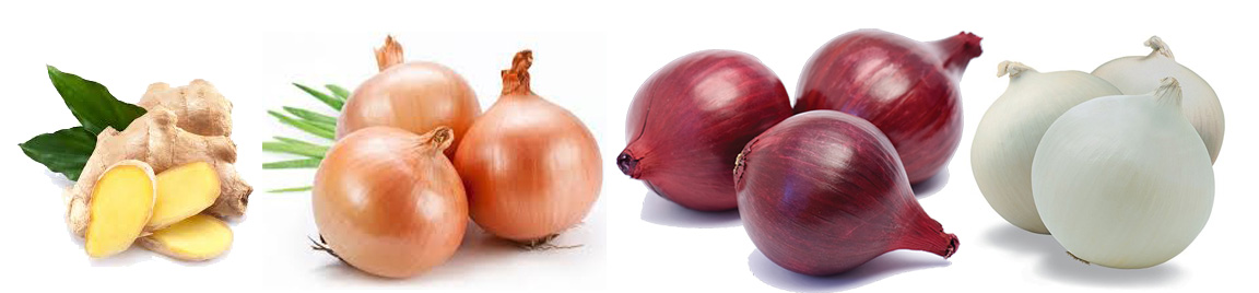 dehydrated white onion, dehydrated red onion, dehydrated pink onion, dehydrated garlic, dehydrated onion, dehydrated garlics,
