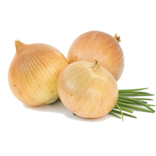 dehydrated white onion, dehydrated red onion, dehydrated pink onion, dehydrated garlic, dehydrated onion, dehydrated garlics,